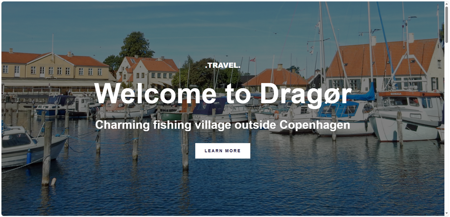 Patricia's Travel project screenshot